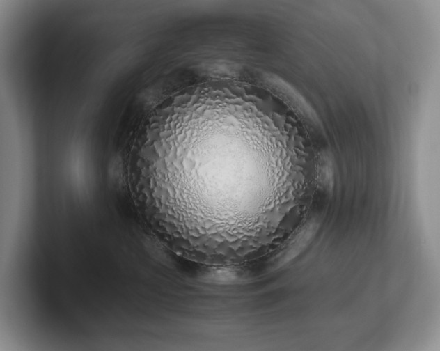 X0000102270573200807251352