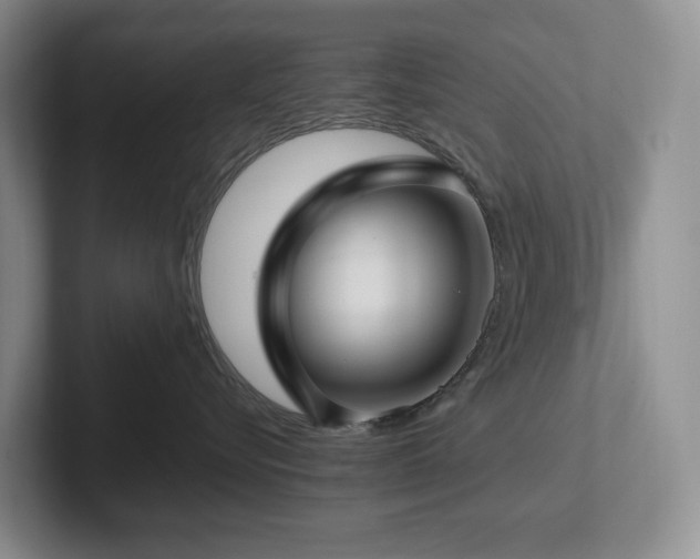 X0000102270576200807251352