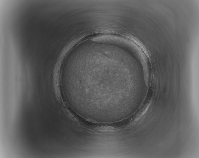 X0000102270577200807251351