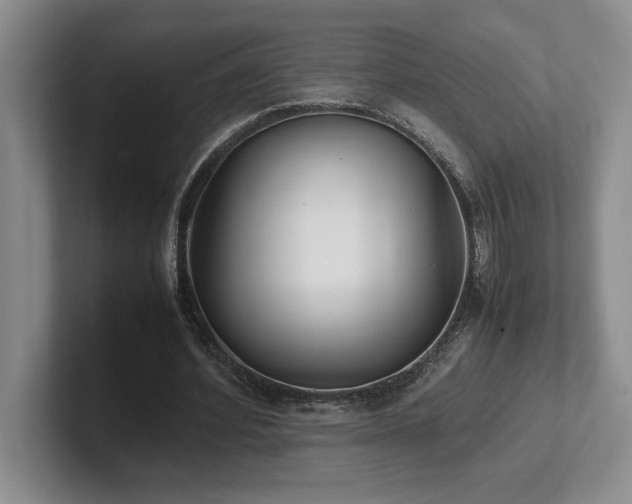 X0000102270580200807251351