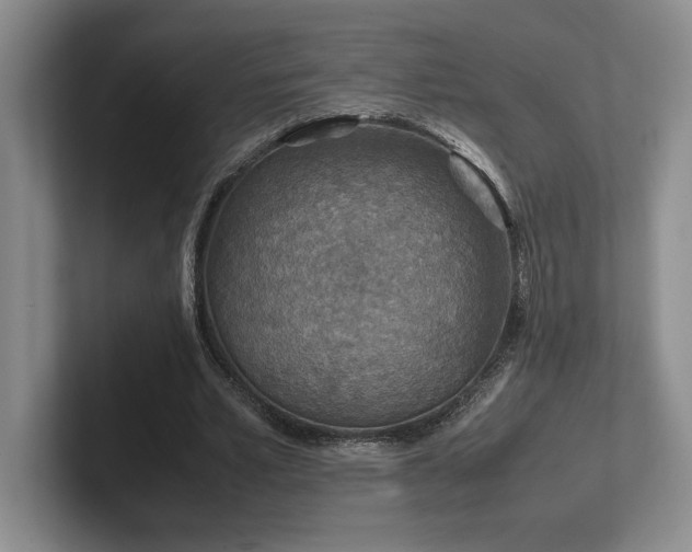 X0000102270581200807251351