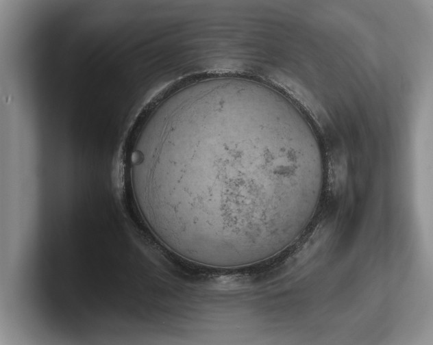 X0000102270584200807251351