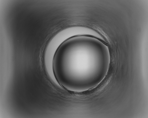 X0000102270585200807251351