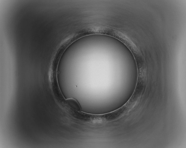 X0000102270587200807251351