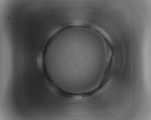 X0000102270588200807251351