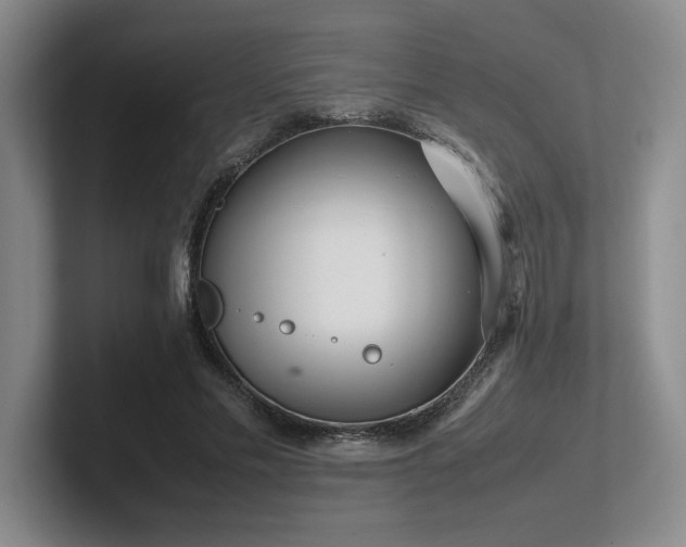 X0000102270589200807251351