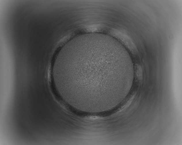 X0000102270590200807251351