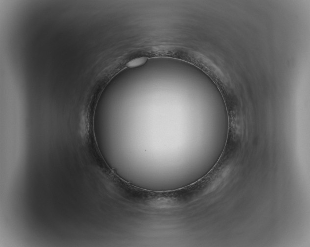X0000102270593200807251351