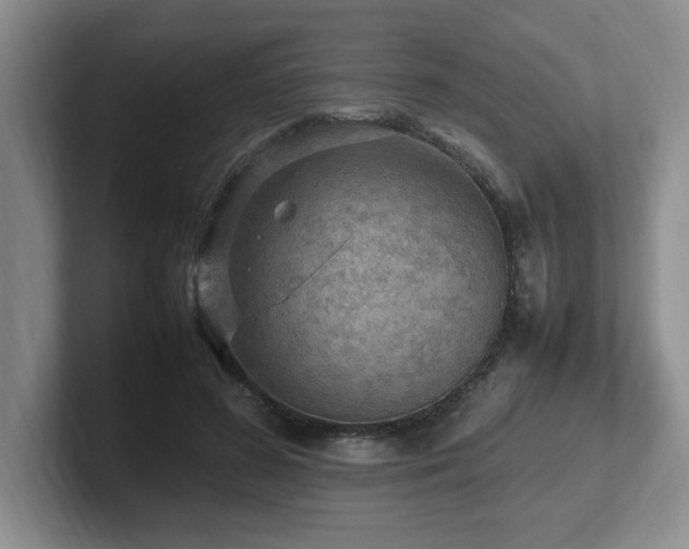 X0000102270596200807251351
