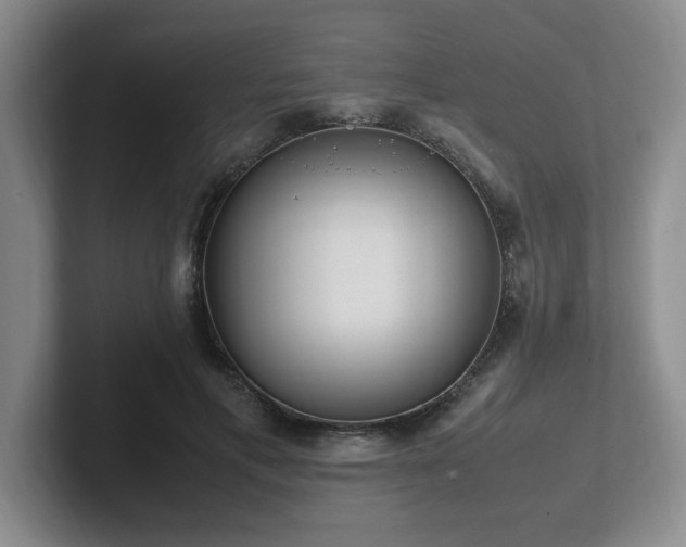 X0000102270597200807251351