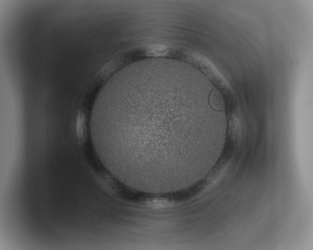 X0000102270598200807251351