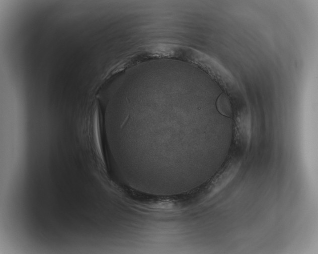 X0000102270600200807251351