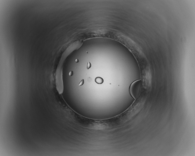 X0000102270608200807251351