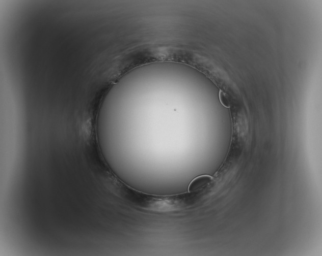 X0000102270611200807251351