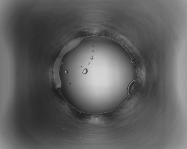 X0000102270612200807251351