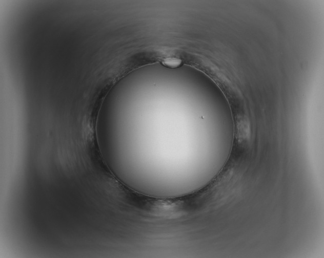 X0000102270613200807251351