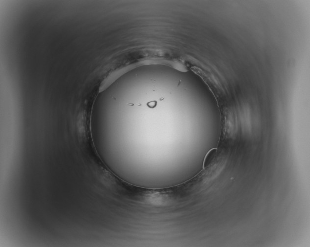 X0000102270616200807251350