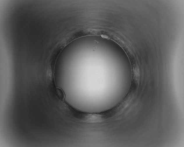 X0000102270617200807251350