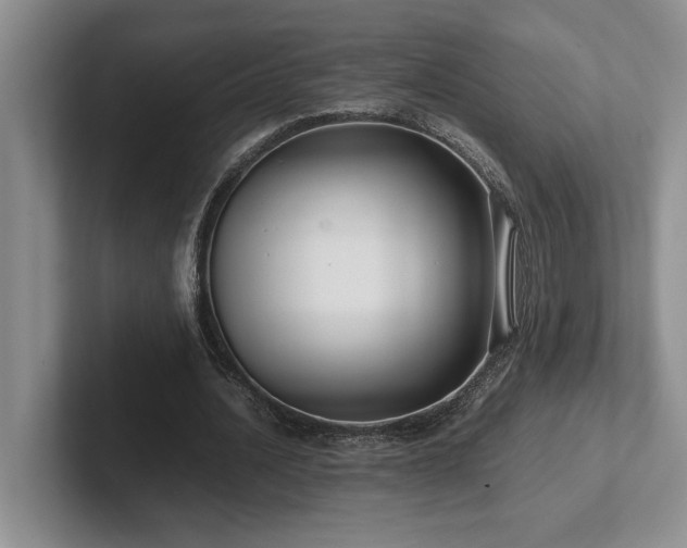 X0000102270628200807251350