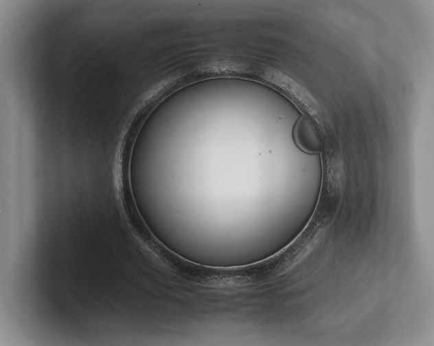 X0000102270629200807251350