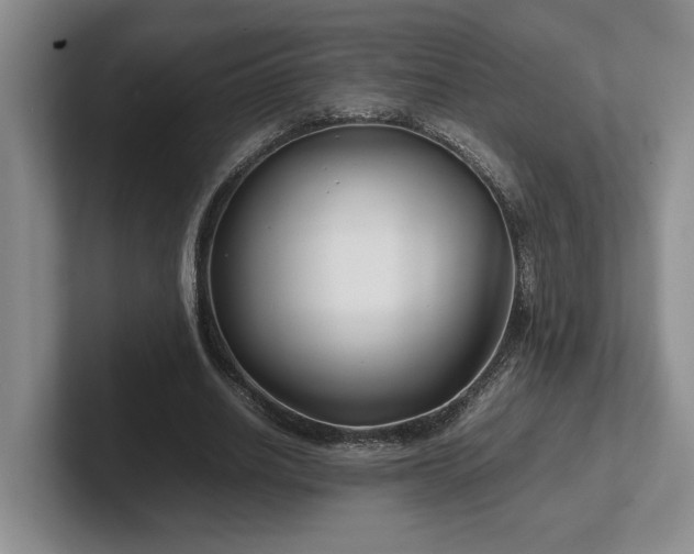 X0000102270630200807251350