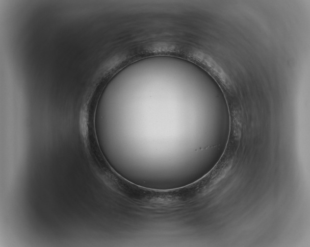 X0000102270631200807251350
