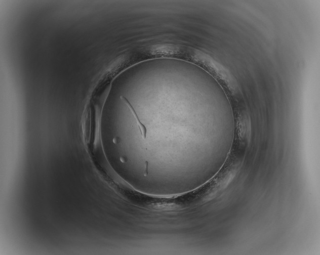 X0000102270637200807251350