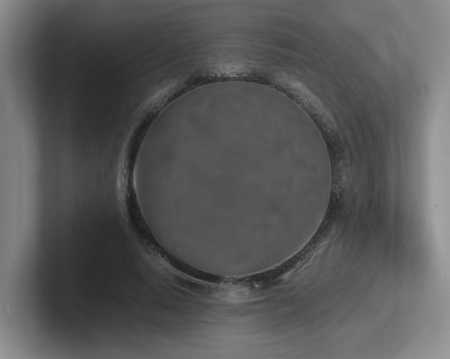 X0000102270640200807251350