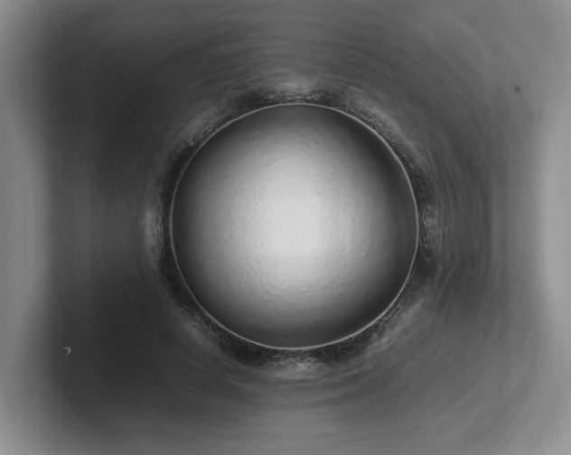 X0000102270642200807251350