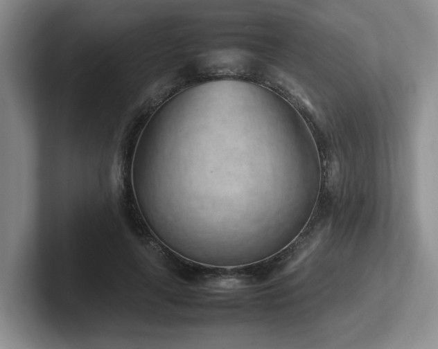 X0000102270643200807251350