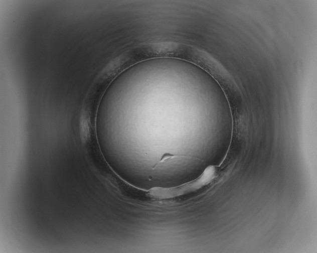 X0000102270644200807251350