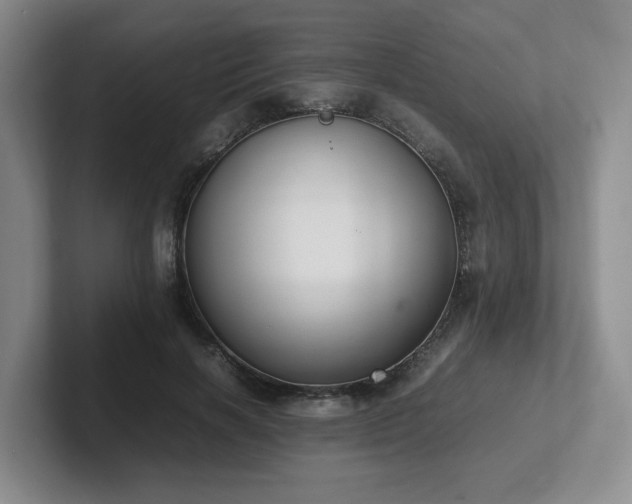 X0000102270646200807251350