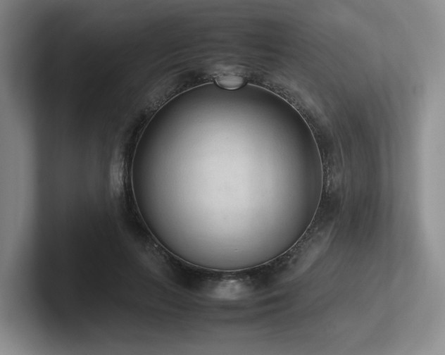 X0000102270647200807251350