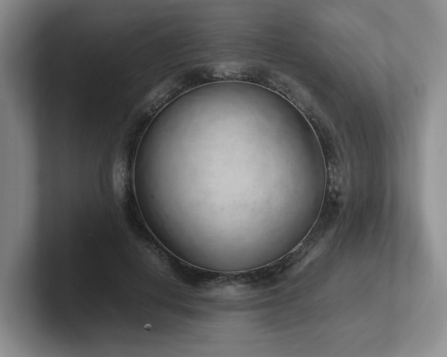 X0000102270648200807251350
