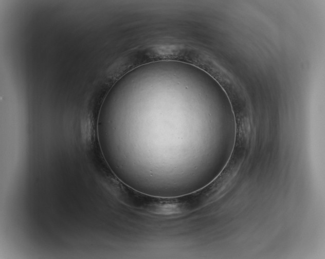 X0000102270651200807251350