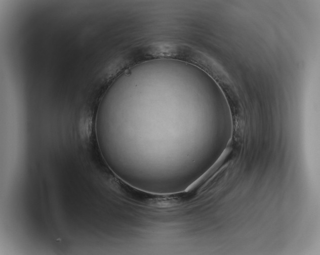 X0000102270652200807251350