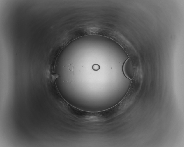 X0000102270655200807251350