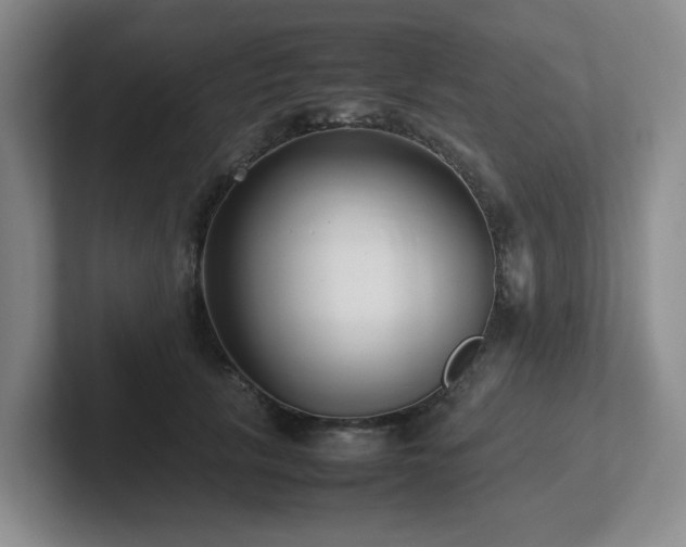 X0000102270657200807251350