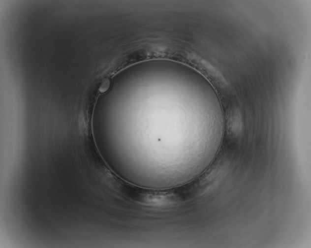 X0000102270661200807251350
