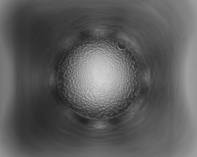 X0000102270663200807251350