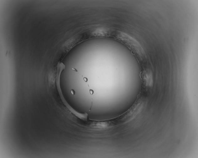 X0000102270665200807251350