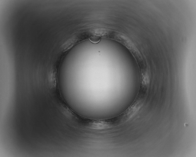 X0000102270666200807251350