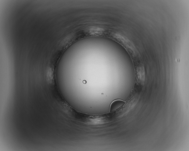 X0000102270667200807251350