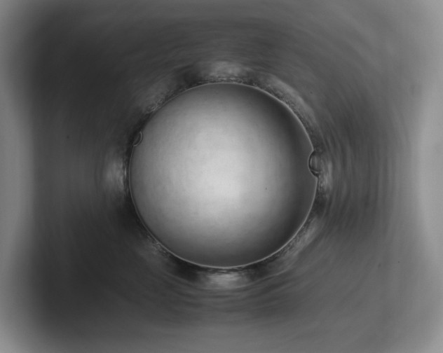 X0000102270669200807251350