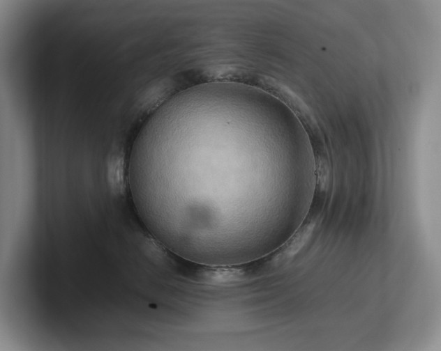X0000102270670200807251350