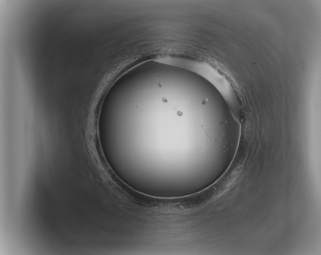 X0000102270673200807251350