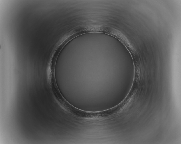 X0000102270674200807251350