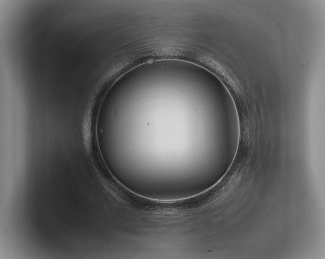 X0000102270677200807251350