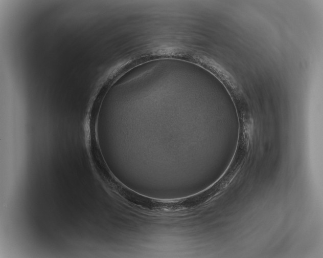 X0000102270678200807251350