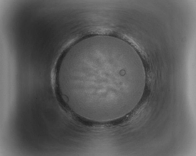 X0000102270679200807251350